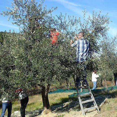Vakantiehuis Poderi Val Verde